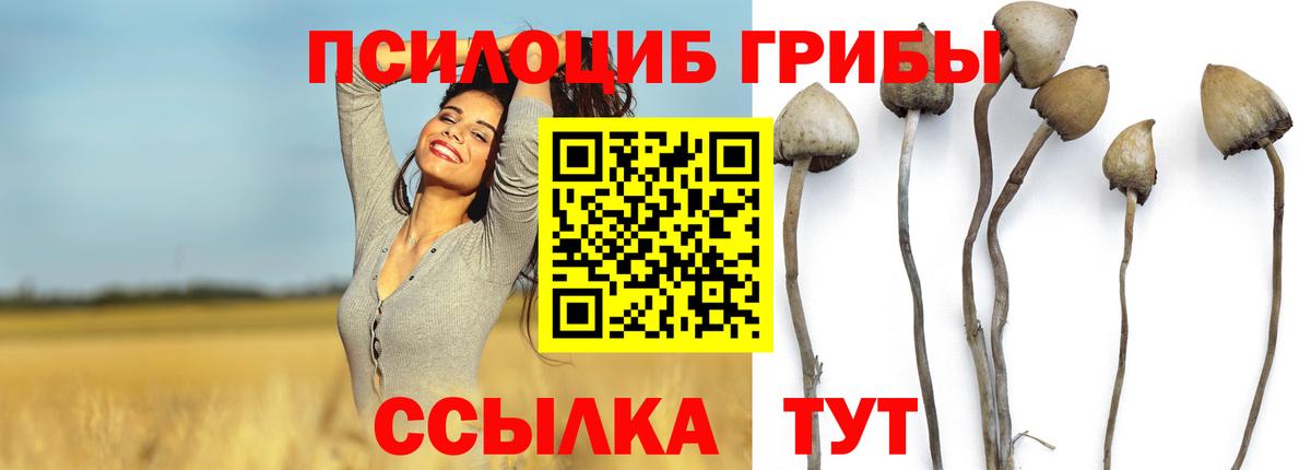 Псилоцибиновые грибы прущие грибы  Вход с VPN  Галлюциногенные грибы GOLDEN TEACHER  Знаменск 